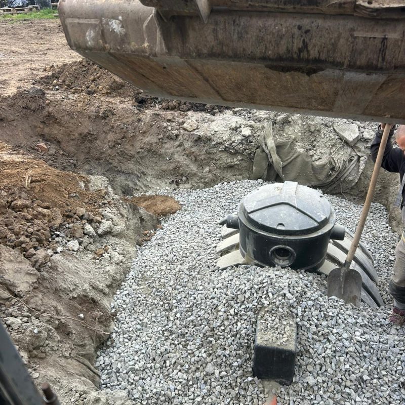 WhatsApp Image 2025-12-16 at 18.46.02 (8)