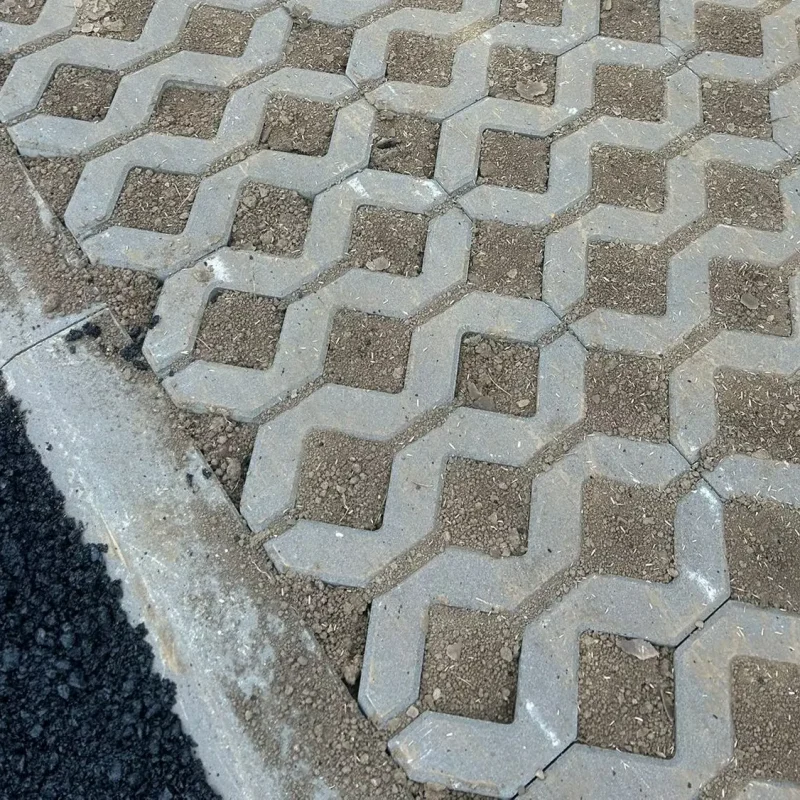 WhatsApp Image 2025-12-16 at 18.59.176